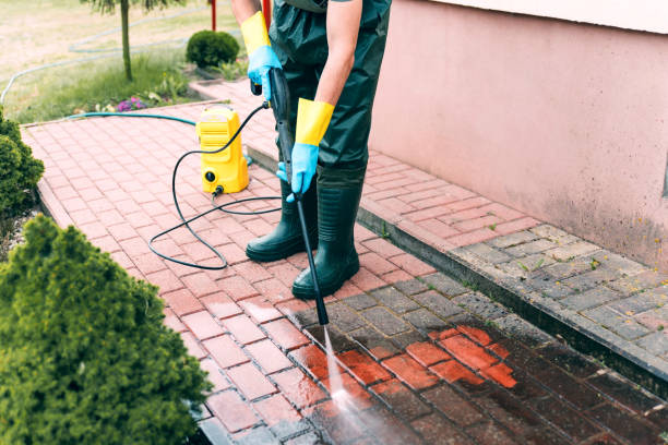 Solar Panel Cleaning in North Arlington, NJ